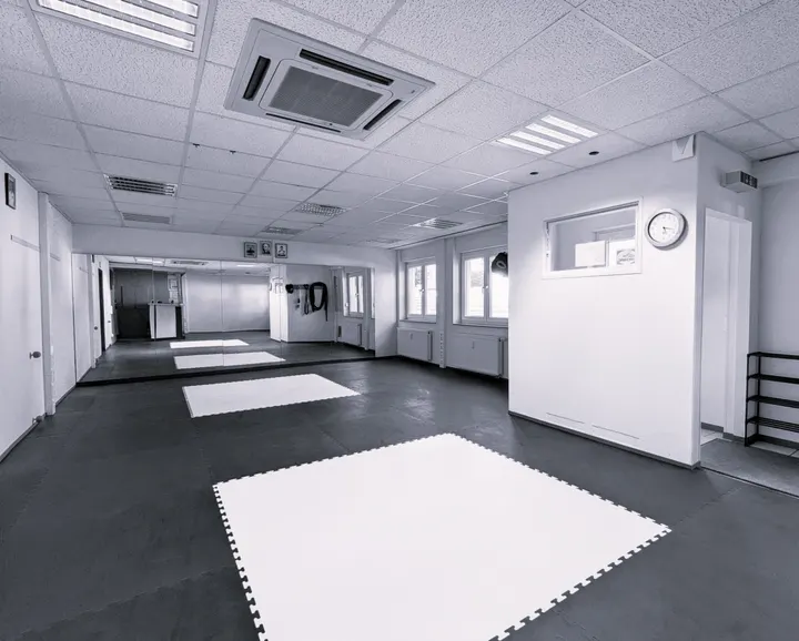 REMAC Parkstad — vechtsport-studio in Heerlen — 3