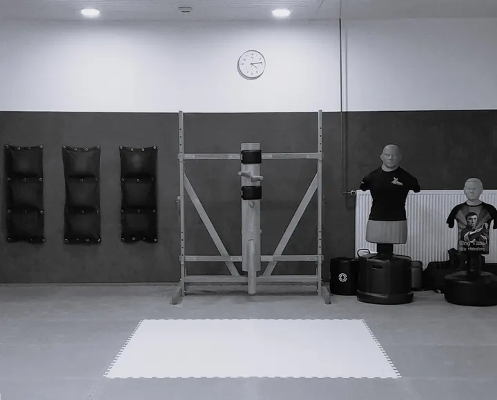 REMAC Parkstad — vechtsport-studio in Heerlen — 4