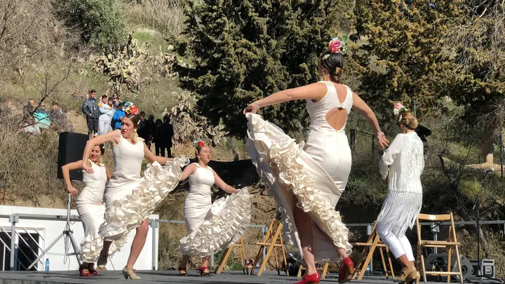 Escuela de Baile Marichu — Baile en Cervantes, Granada