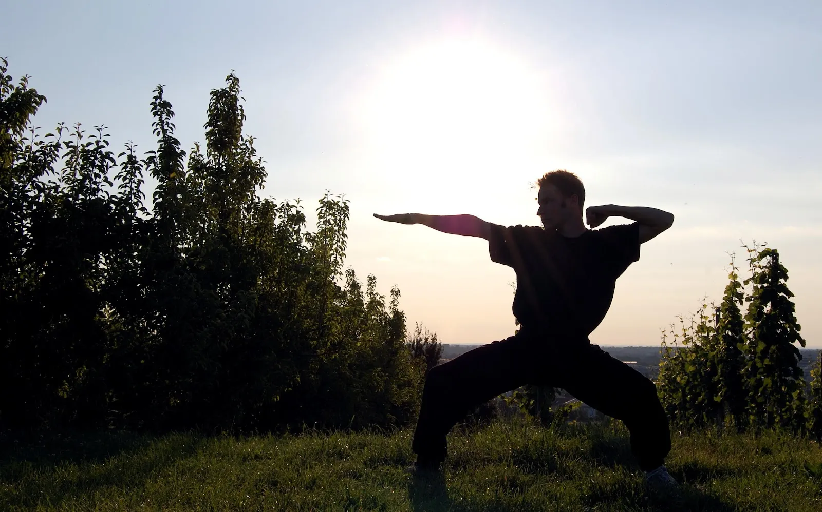 Kung Fu To´A e.V. — kampfsport-studio in Bonn-Beuel, Bonn — 3