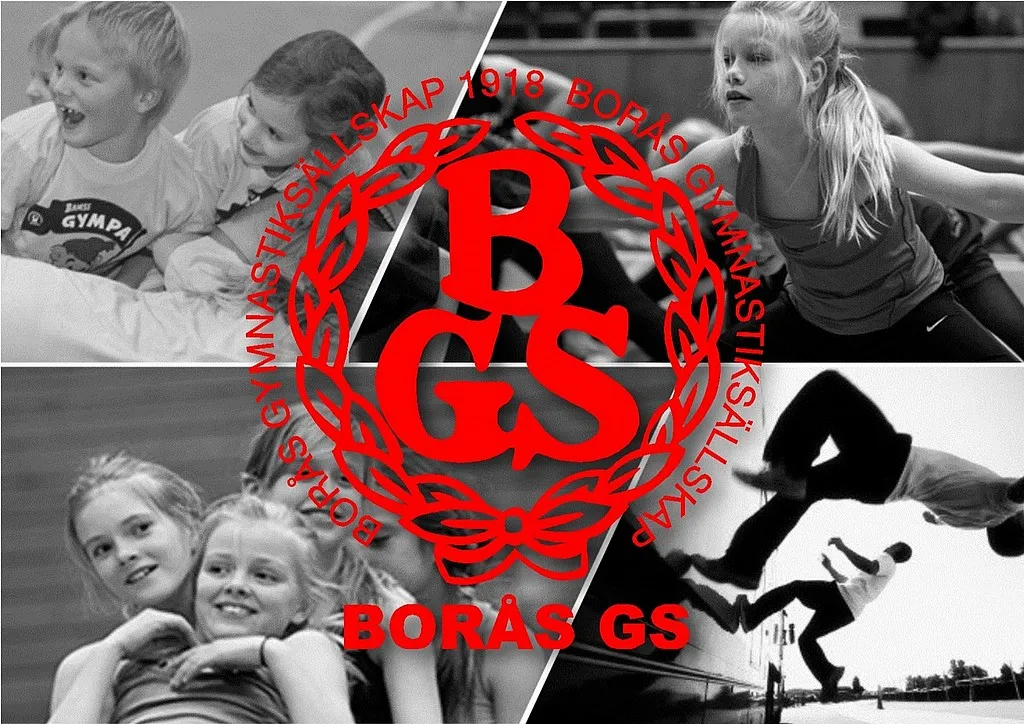Borås Gymnastiksällskap — träningsstudio-studio i Borås — bild 2