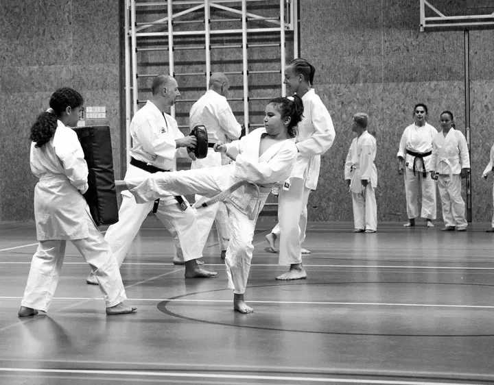 Shotokan Karate-Do Teteringen — vechtsport-studio in Teteringen — 4