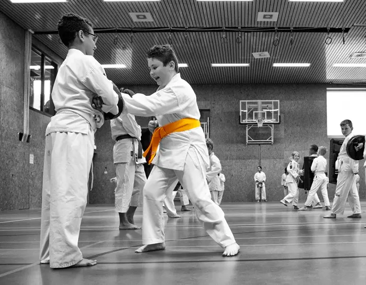 Shotokan Karate-Do Teteringen — vechtsport-studio in Teteringen — 5