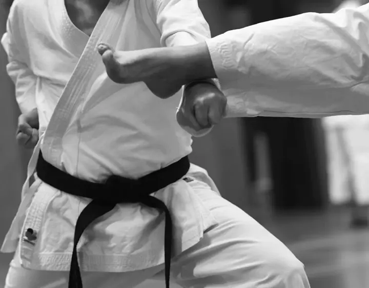 Shotokan Karate-Do Teteringen — vechtsport-studio in Teteringen — 6