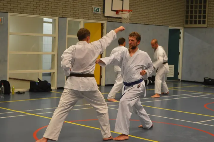 Shotokan Karate-Do Goshin — vechtsport-studio in Arnhem-Noord, Arnhem — 2