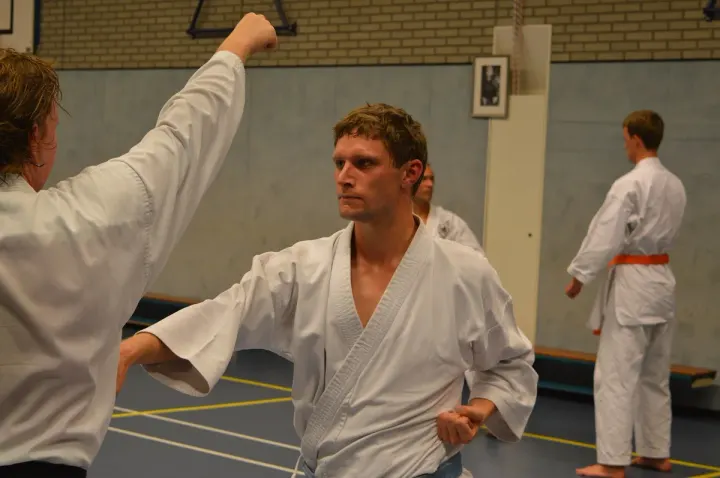 Shotokan Karate-Do Goshin — vechtsport-studio in Arnhem-Noord, Arnhem — 3