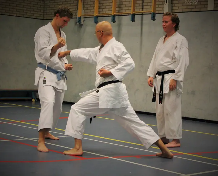 Shotokan Karate-Do Goshin — vechtsport-studio in Arnhem — 3