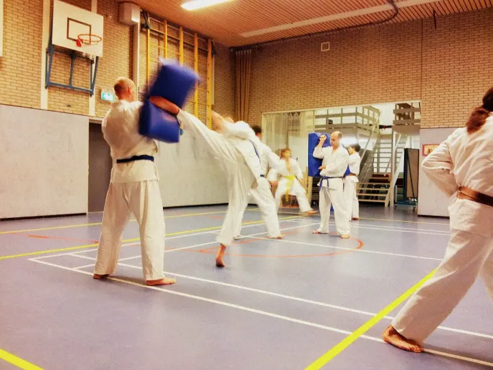 Shotokan Karate-Do Goshin — Vechtsport in Arnhem-Noord, Arnhem