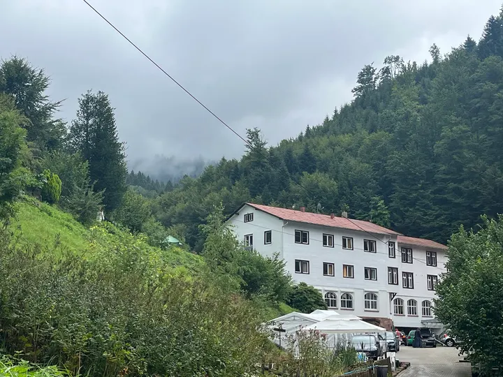 Art of Living Bad Antogast — yoga-studio in Bad Antogast, Oppenau — 2