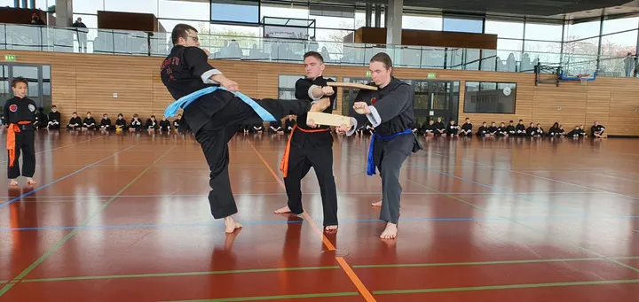 Sportakademie Dr. Lee Weinsberg — kampfsport-studio in Weinsberg — 3