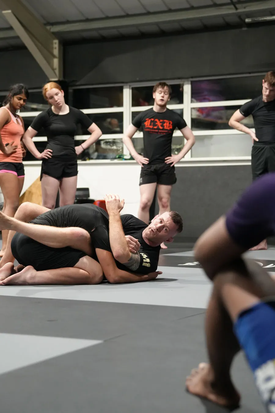 Impact MMA — mma-studio in Salisbury — 2