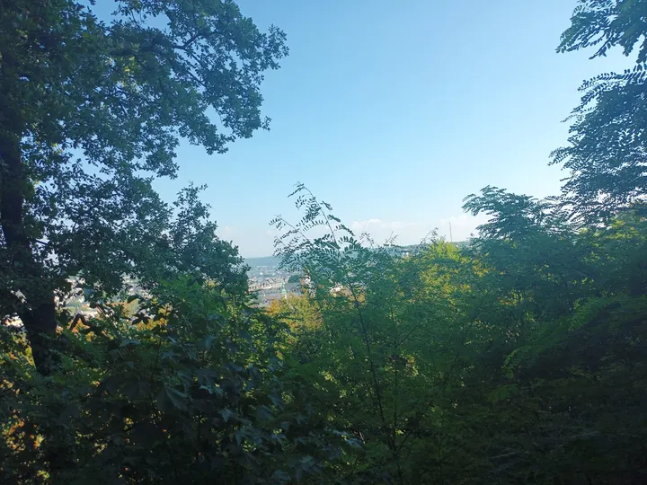 Fitness Parcours — fitnessstudio in Siegen — 2