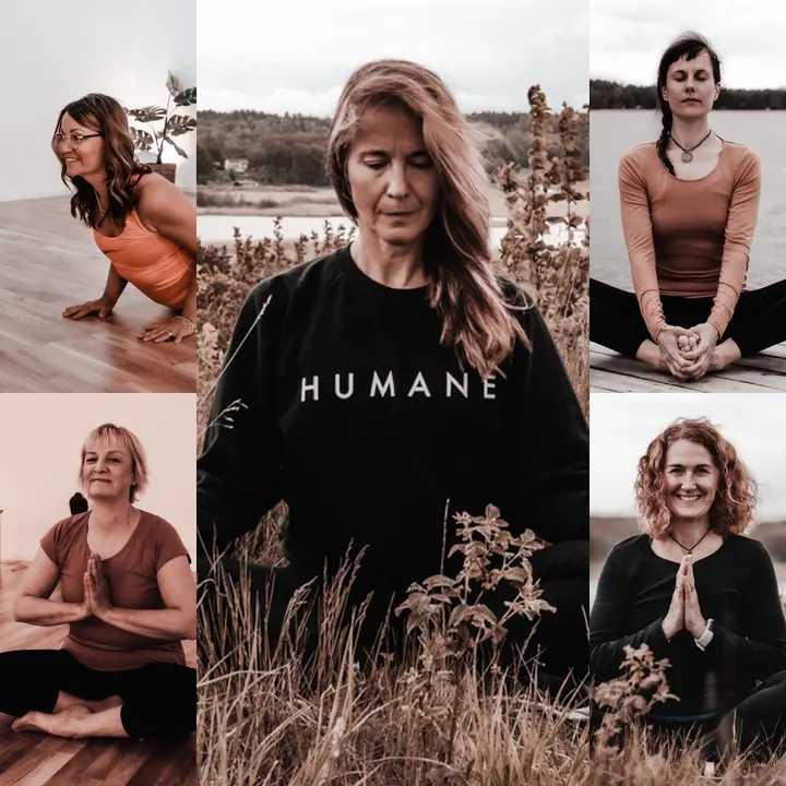 Cattas Yoga — yoga-studio i Västerås — 3