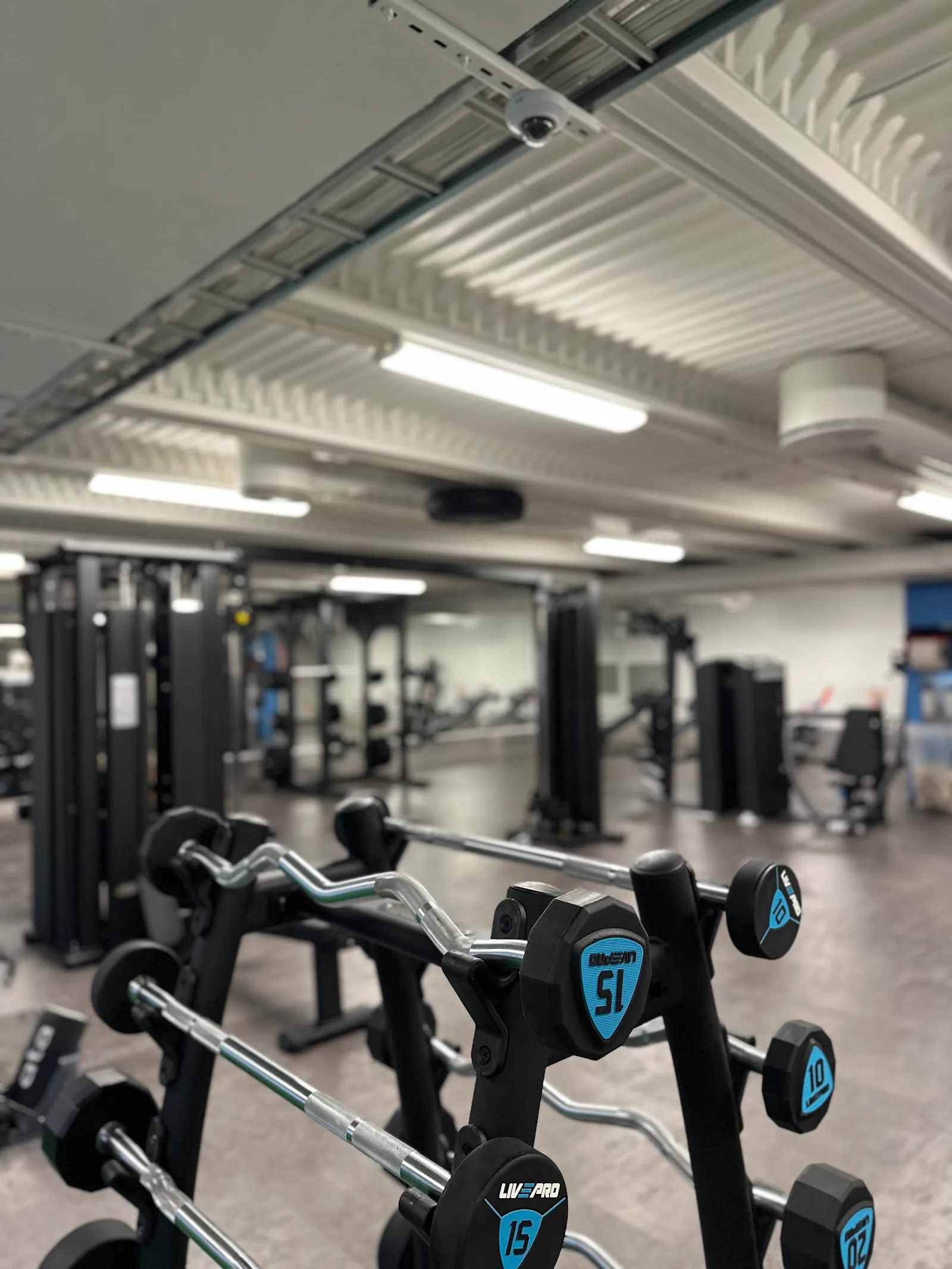 Arendal Trening — treningsstudio i Arendal — 4
