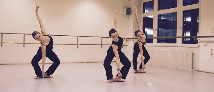 Ballett & Tanzstudio M. Balzer — tanz-studio in Höchst, Frankfurt am Main — 2