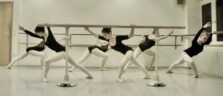 Ballett & Tanzstudio M. Balzer — Tanz in Höchst, Frankfurt am Main