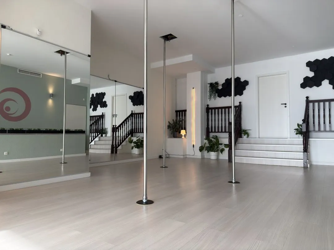 Lyra Aerial Dance — aerial-studio in Berlin — 2