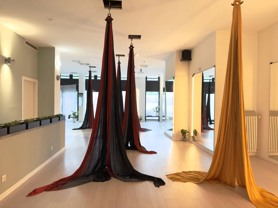 Lyra Aerial Dance — aerial-studio in Berlin — 3