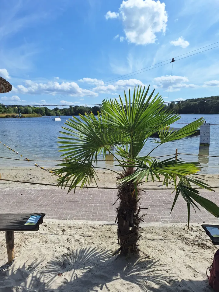 NORTH BOUND Aurich Beach & Wake — fitnessstudio in Aurich — 3