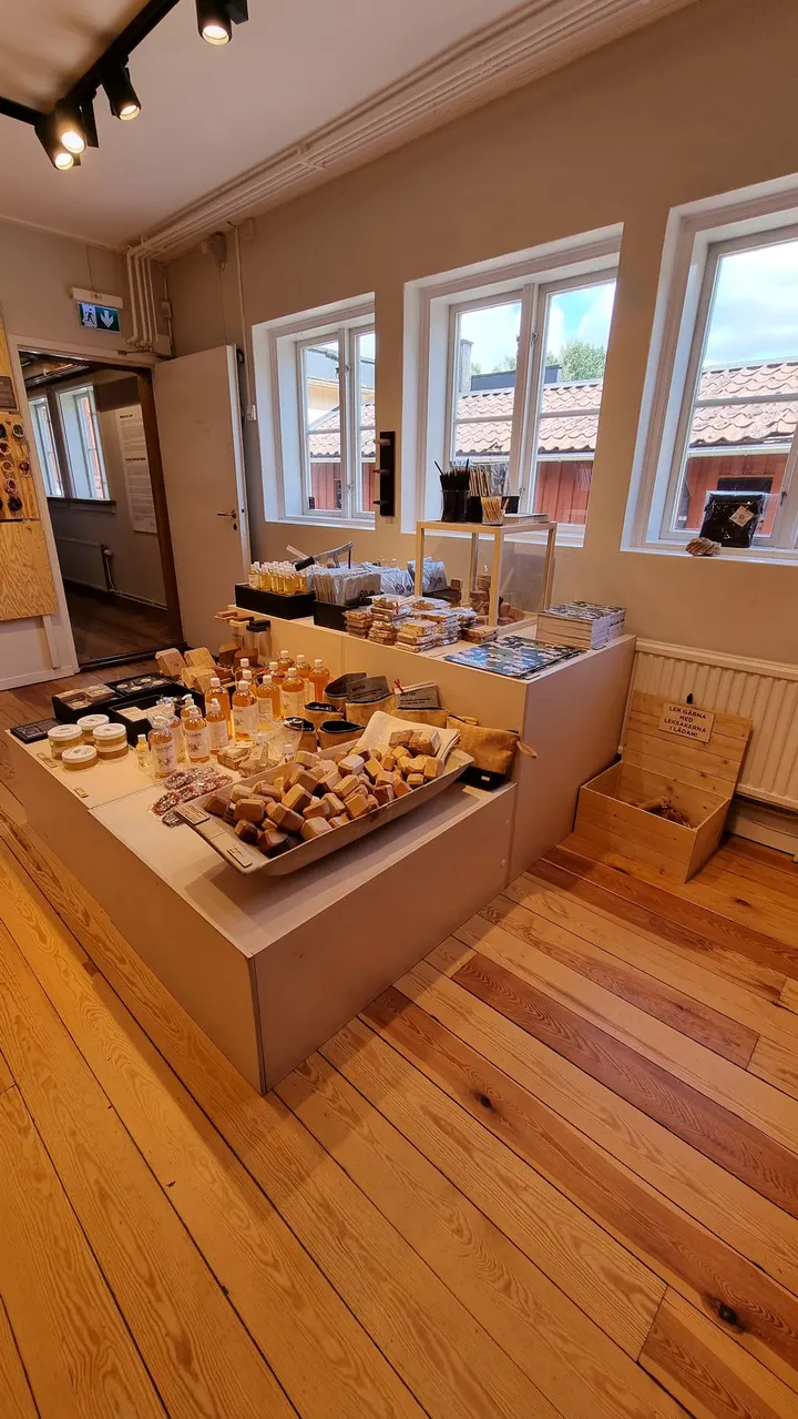 Dansbanan i Gamla Linköping — dans-studio i Fridhem, Linköping — 3