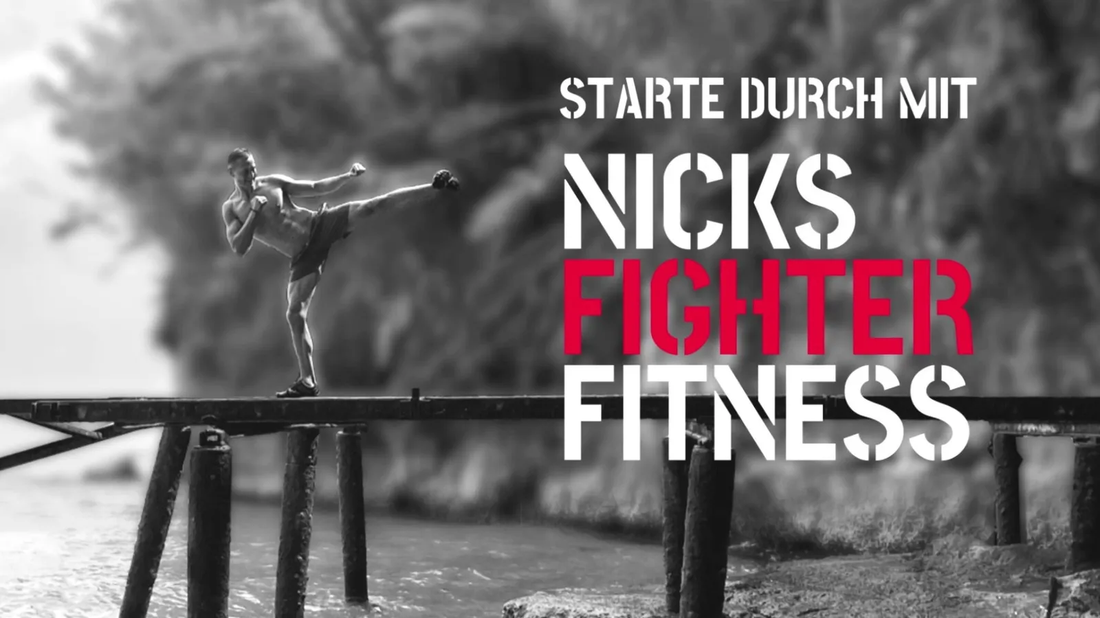 NICKS FIGHT & FITNESS ACADEMY — träningsstudio i Dresden — 2