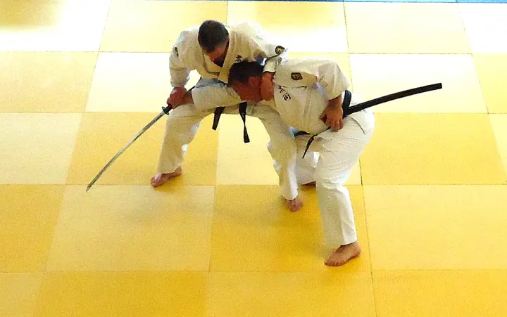 Muilwijk Judo Dordrecht — vechtsport-studio in Wilgenwende, Dordrecht — 3