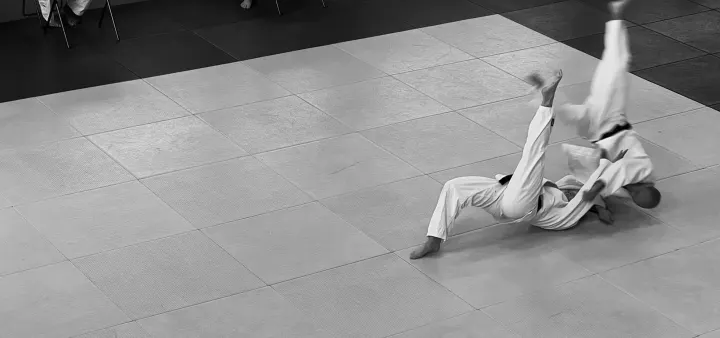 Muilwijk Judo Dordrecht — Vechtsport in Wilgenwende, Dordrecht