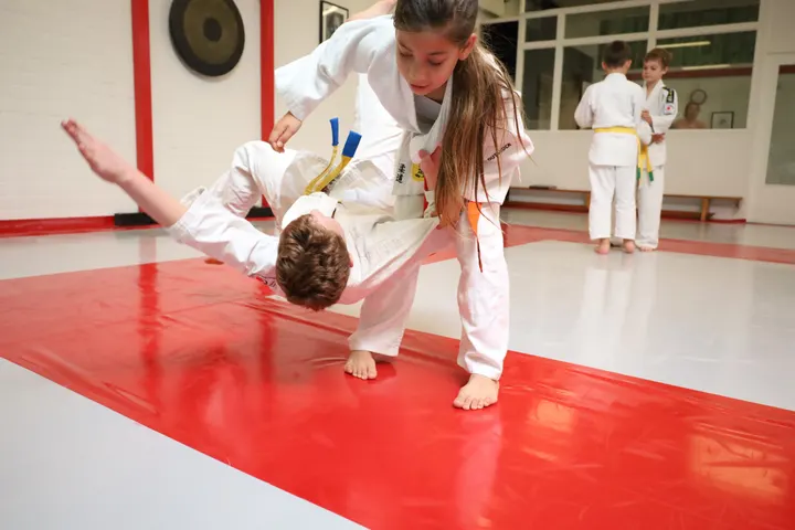 Budoclub Voorburg — Vechtsport in Voorburg
