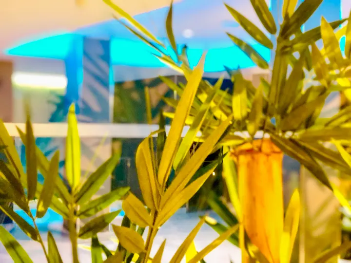 Spa Sol don Marco — wellness-studio en Torremolinos — 3