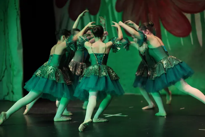 Ballettschule Vita — tanz-studio in Feudenheim, Mannheim — 2