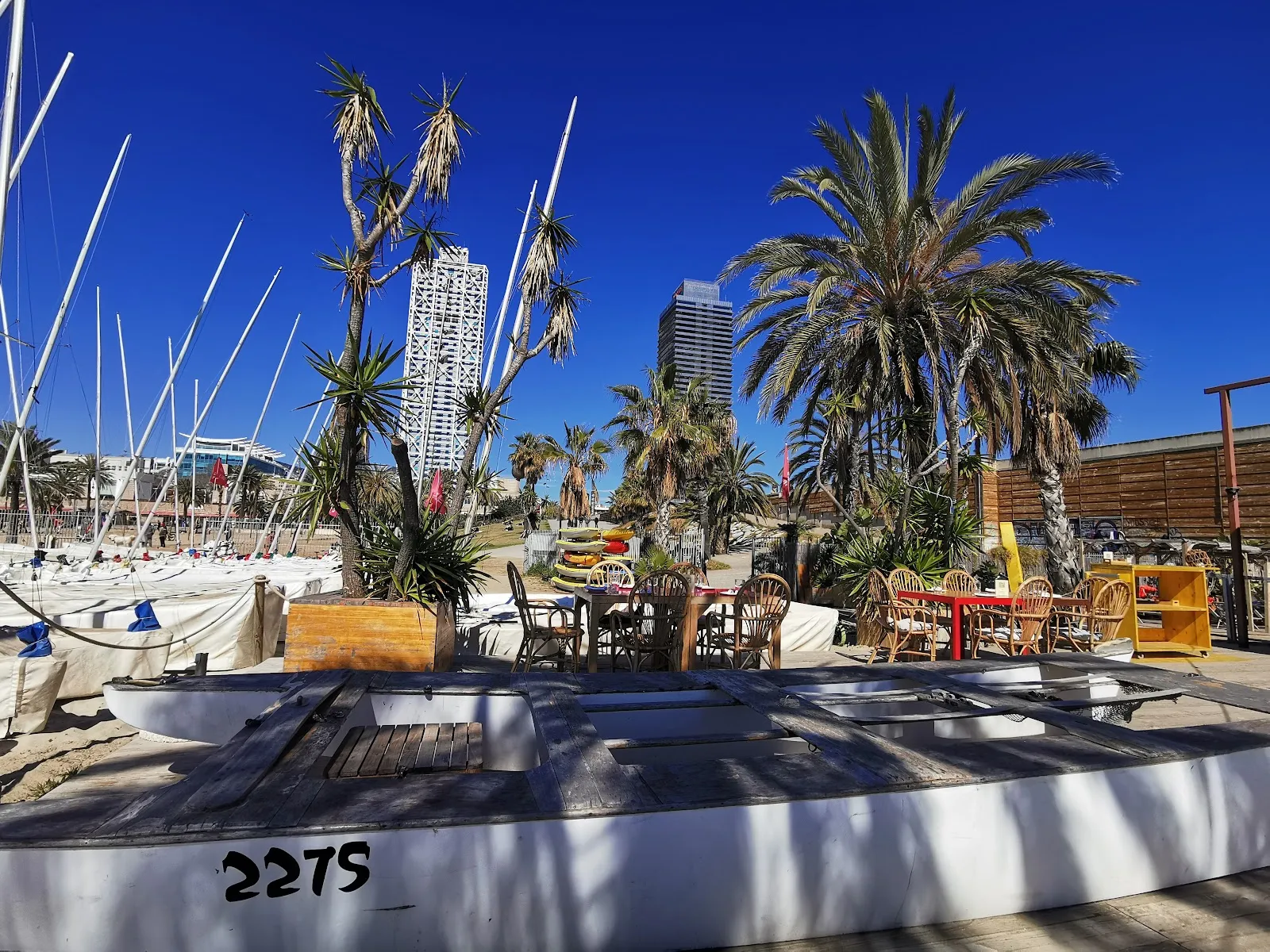 Club Patí Vela Barcelona — remo-studio en Sant Martí, Barcelona — 2
