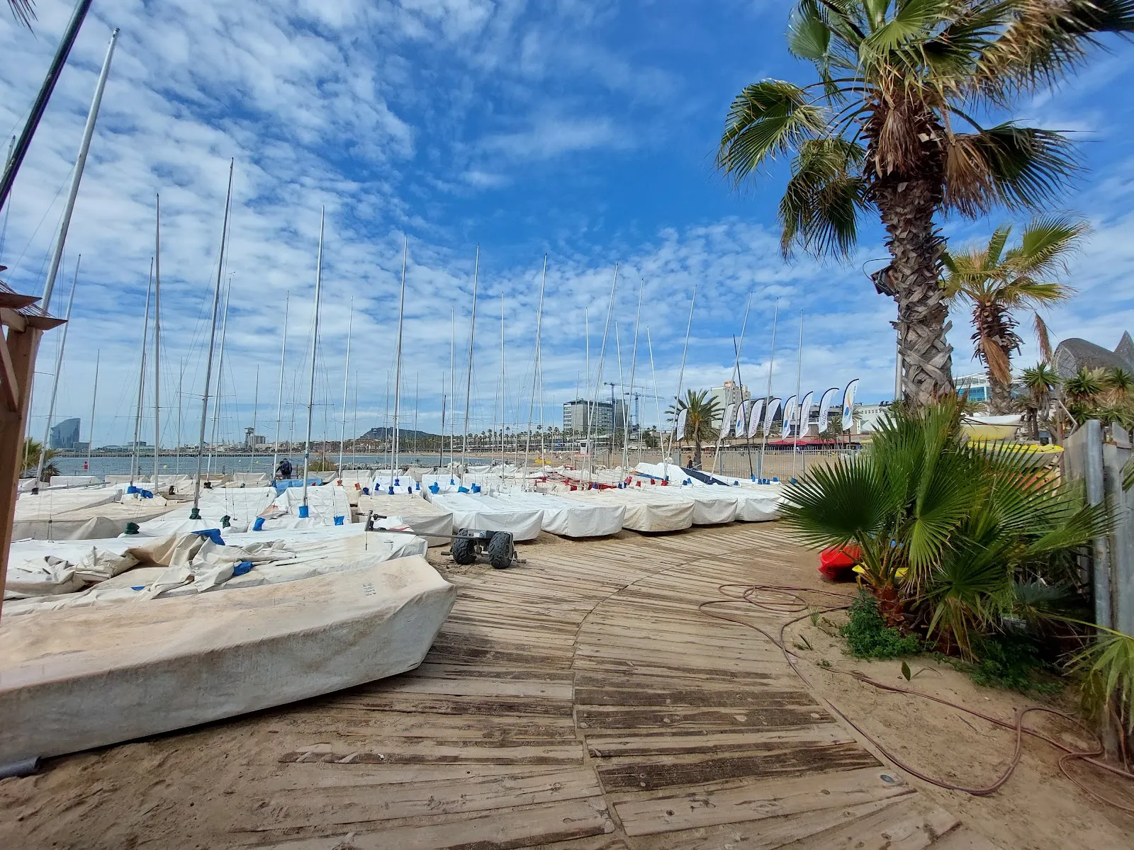Club Patí Vela Barcelona — remo-studio en Barcelona — 3