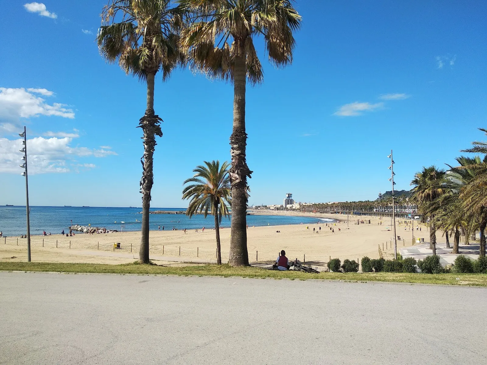 Club Patí Vela Barcelona — remo-studio en Barcelona — 4