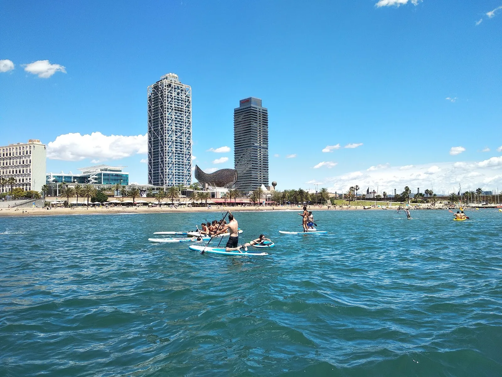 Club Patí Vela Barcelona — remo-studio en Barcelona — 5