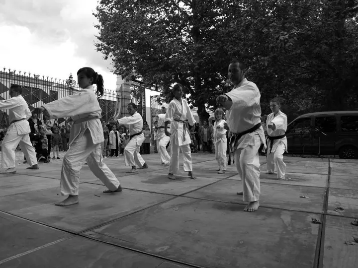 Bushido 42 — arts martiaux-studio à Carnot, Saint-Étienne — 3