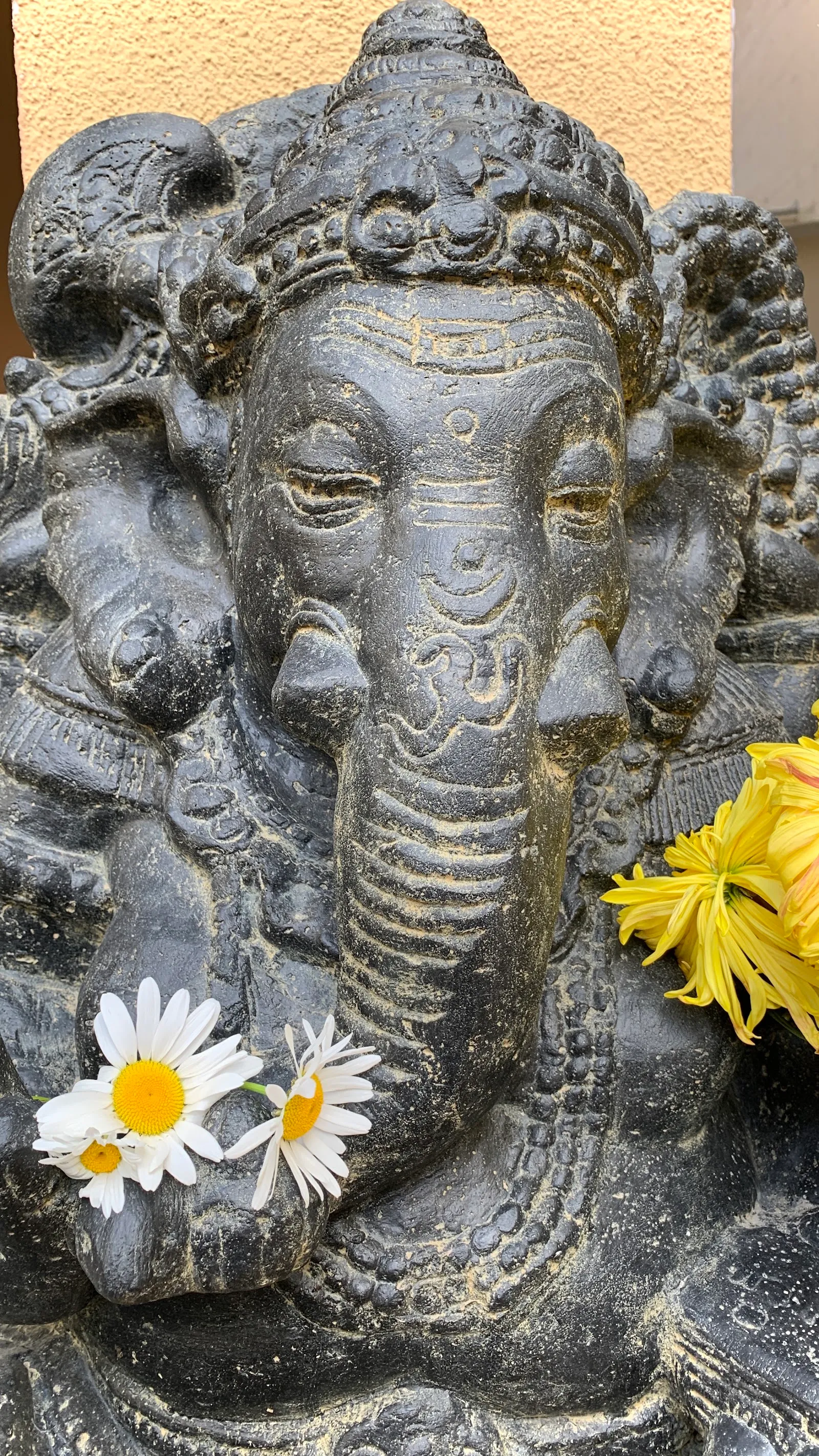 moksha circle GbR — yoga-studio in Potsdam — 5