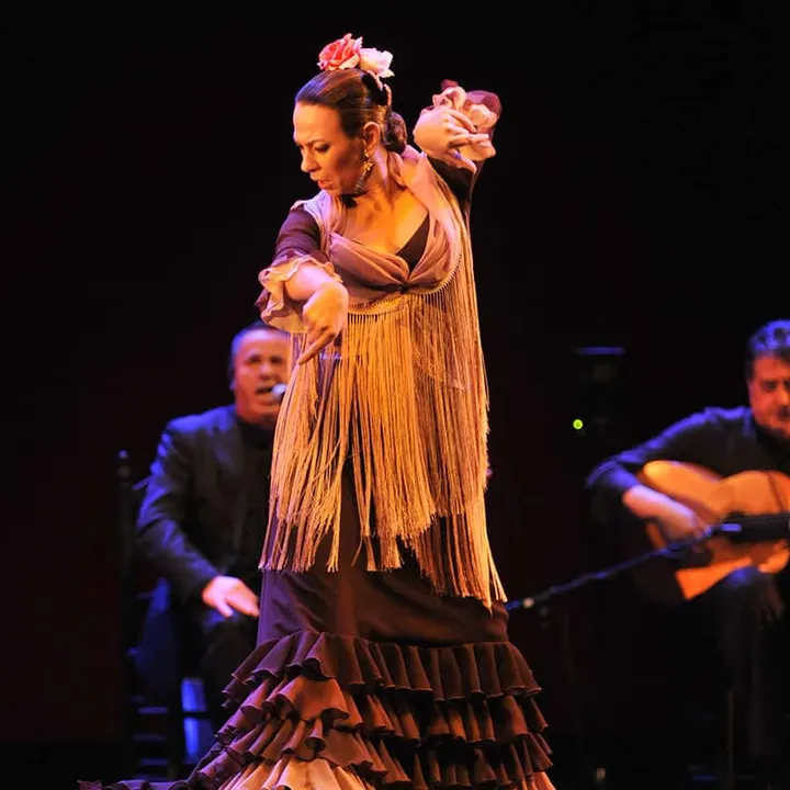 Clases De Guitarra Flamenca, Cante Y Baile En Sevilla Artes Escénicas Rebollar — Dance en Rochelambert, Sevilla