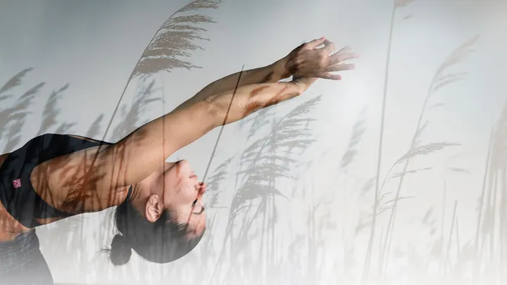 Yoga Voss-Böcker — Yoga in Bad Godesberg, Bonn