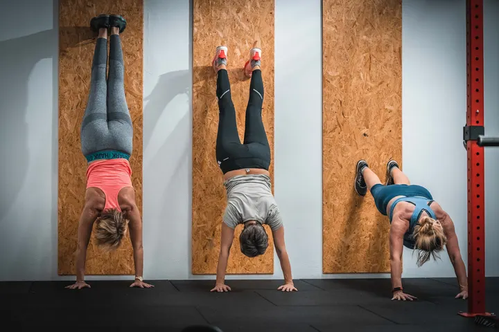 Nextlevel Athletes — pt-studio in Zella-Mehlis — 3