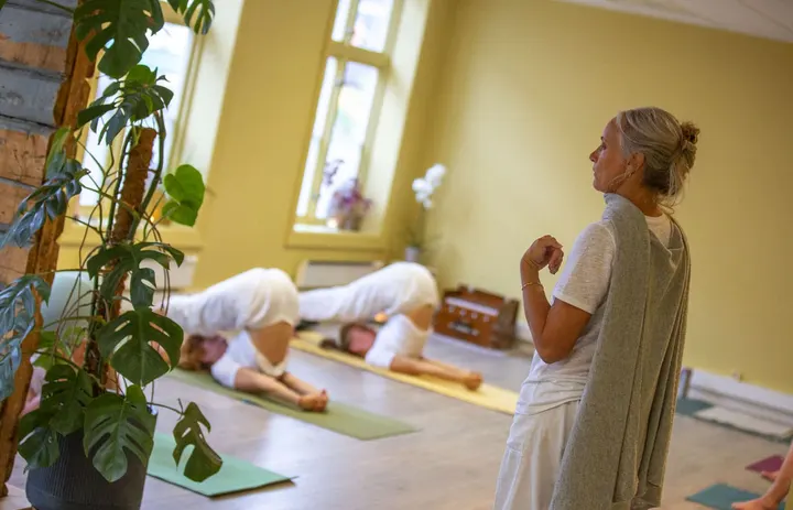 Tønsberg Yoga — yoga-studio i Kaldnes, Tønsberg