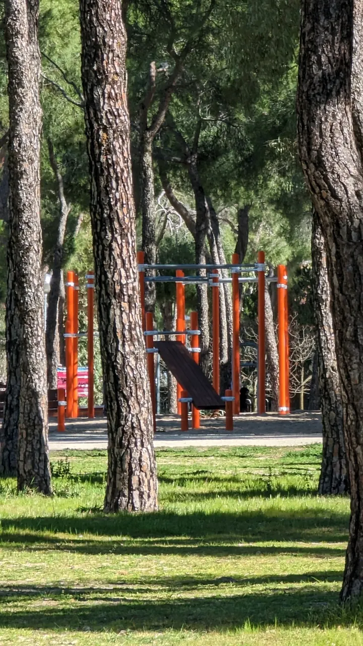 Street Workout - Calistenia — estudio de fitness-studio en Leganés — 5