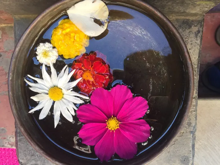 Lakshmi Yoga — yoga-studio in Leeds — 4