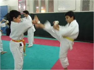 CSPSE Judo jujitsu — jjb-studio à Paris 12e Arrondissement, Paris — 2