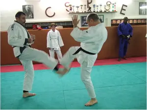 CSPSE Judo jujitsu — jjb-studio à Paris — 3