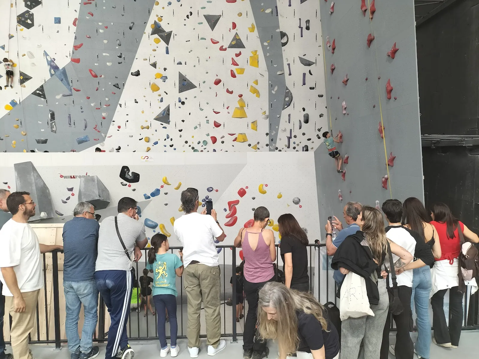 Rocódromo Alberto Gines — escalada-studio en Cáceres — 3