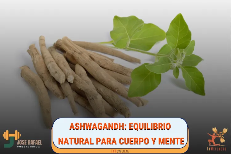 FaWellness Entrenador Personal y Nutrición — entrenamiento personal-studio en Donostia / San Sebastián — 2