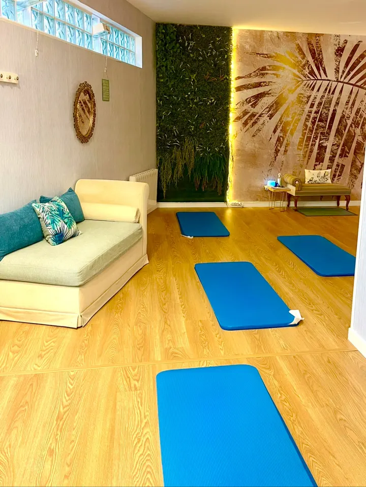 BienStar Estudio.Pilates.Espalda Sana.Pilates en silla ,rehabilitación — pilates-studio en Zaragoza — 3