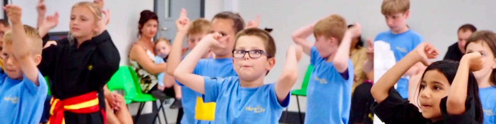 Kung Fu Schools Gillingham — martial arts-studio in Gravesend — 4