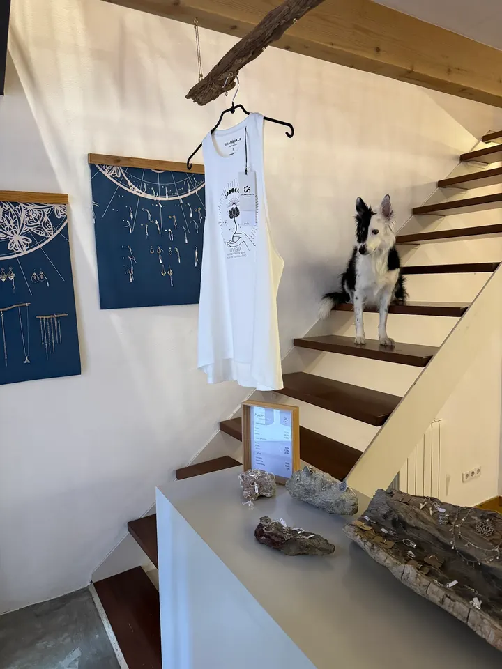 Mallorcayoga — yoga-studio en Son Espanyolet, Palma — 2