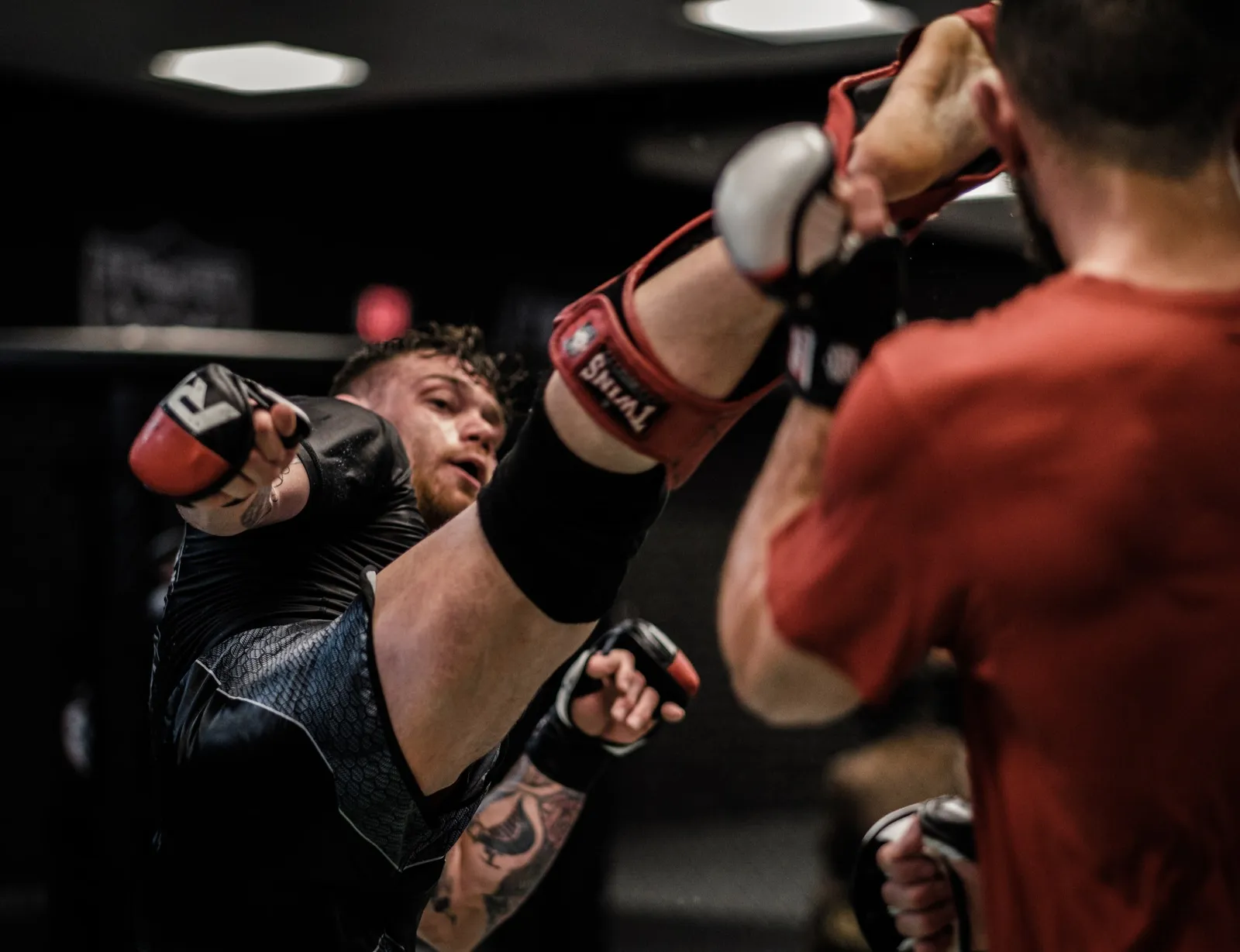 Omega Mma — mma-studio in Perth — 3
